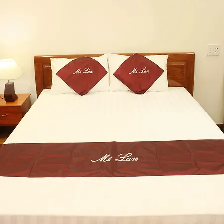 Hoi An Green Channel Homestay Exterior photo